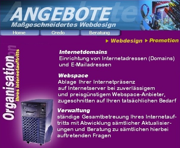 Organisation Ihres Internetauftritts: Domains, Webspace, Verwaltung, Aktualisierungen